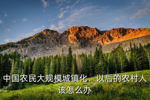 中國農(nóng)民大規(guī)模城鎮(zhèn)化，以后的農(nóng)村人該怎么辦
