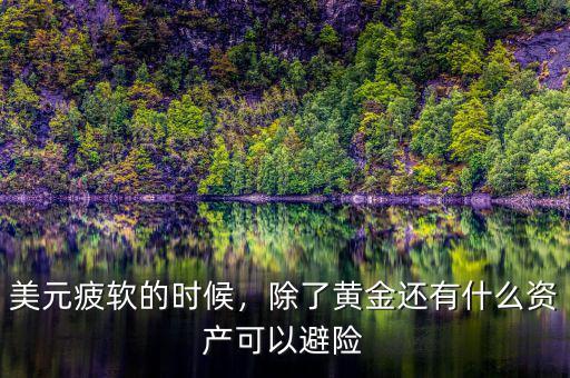 美元疲軟的時(shí)候，除了黃金還有什么資產(chǎn)可以避險(xiǎn)