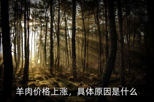 羊肉價格上漲，具體原因是什么
