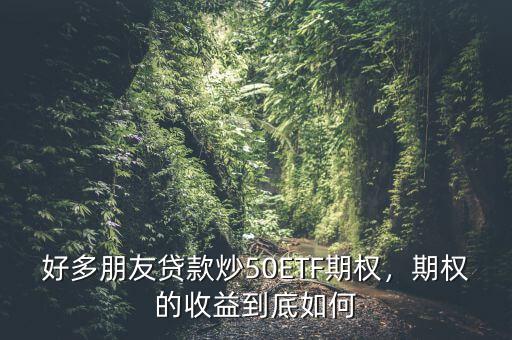 好多朋友貸款炒50ETF期權(quán)，期權(quán)的收益到底如何