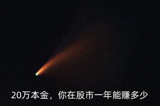 20萬本金，你在股市一年能賺多少