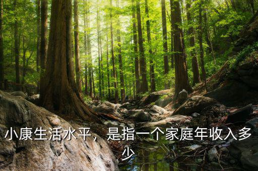 小康生活水平，是指一個家庭年收入多少