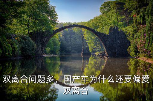 雙離合問題多，國產(chǎn)車為什么還要偏愛雙離合