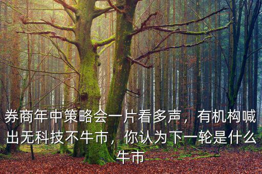 券商年中策略會一片看多聲，有機構喊出無科技不牛市，你認為下一輪是什么牛市