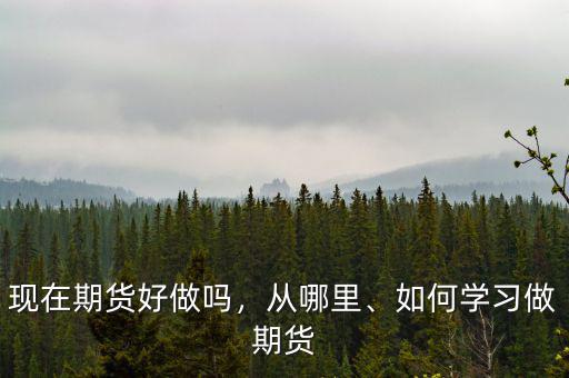 現(xiàn)在期貨好做嗎，從哪里、如何學(xué)習(xí)做期貨