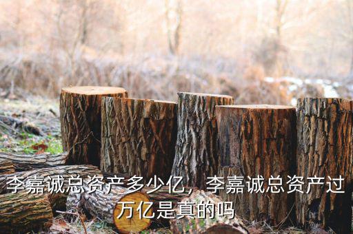 李嘉誠總資產(chǎn)多少億，李嘉誠總資產(chǎn)過萬億是真的嗎