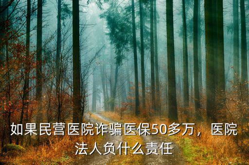 如果民營醫(yī)院詐騙醫(yī)保50多萬，醫(yī)院法人負(fù)什么責(zé)任