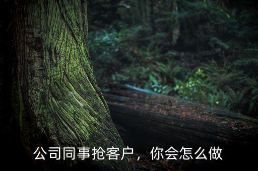 公司同事?lián)尶蛻?，你會怎么? class=
