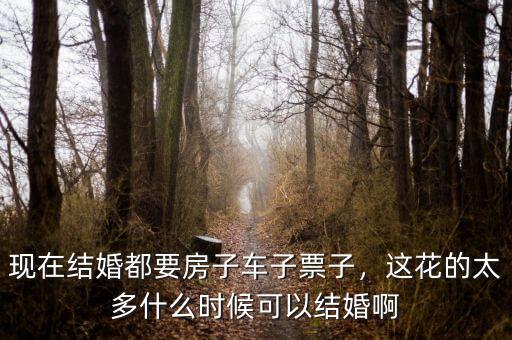 現(xiàn)在結婚都要房子車子票子，這花的太多什么時候可以結婚啊