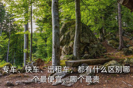專車、快車、出租車，都有什么區(qū)別哪個(gè)最便宜，哪個(gè)最貴