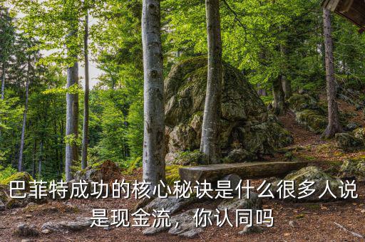 巴菲特成功的核心秘訣是什么很多人說是現(xiàn)金流，你認(rèn)同嗎