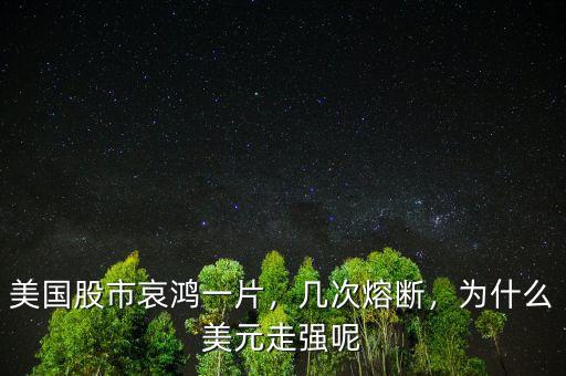 美國股市哀鴻一片，幾次熔斷，為什么美元走強呢
