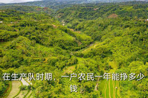 在生產(chǎn)隊(duì)時(shí)期，一戶農(nóng)民一年能掙多少錢