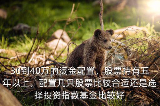 30到40萬的資金配置，股票持有五年以上，配置幾只股票比較合適還是選擇投資指數(shù)基金比較好