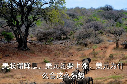 美聯(lián)儲(chǔ)降息，美元還要上漲，美元為什么會(huì)這么強(qiáng)勢(shì)