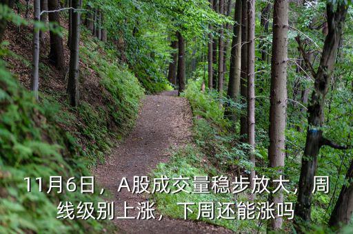 11月6日，A股成交量穩(wěn)步放大，周線級別上漲，下周還能漲嗎