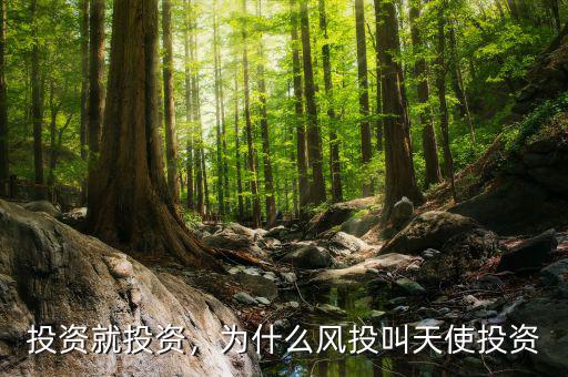 投資就投資，為什么風(fēng)投叫天使投資
