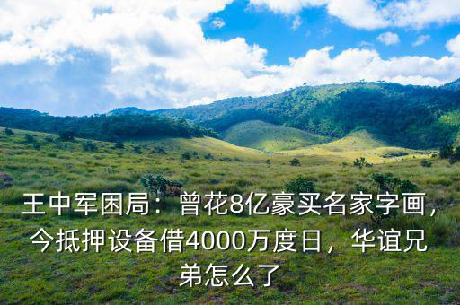 王中軍困局：曾花8億豪買名家字畫，今抵押設(shè)備借4000萬度日，華誼兄弟怎么了