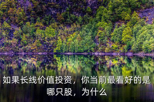 如果長線價值投資，你當(dāng)前最看好的是哪只股，為什么