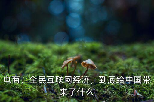 電商，全民互聯(lián)網(wǎng)經(jīng)濟(jì)，到底給中國帶來了什么