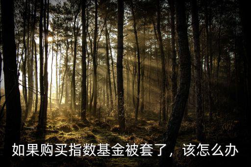 如果購買指數(shù)基金被套了，該怎么辦