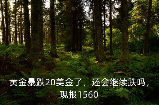 黃金暴跌20美金了，還會(huì)繼續(xù)跌嗎，現(xiàn)報(bào)1560