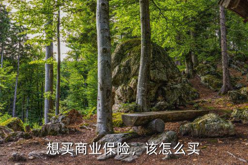 想買商業(yè)保險(xiǎn)，該怎么買