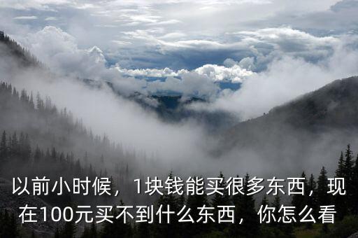 以前小時(shí)候，1塊錢能買很多東西，現(xiàn)在100元買不到什么東西，你怎么看