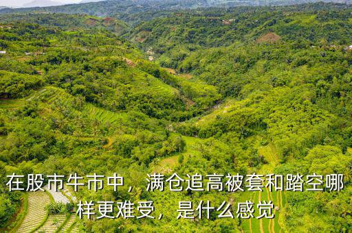 在股市牛市中，滿倉追高被套和踏空哪樣更難受，是什么感覺