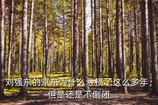 劉強東的京東為什么虧損了這么多年，但是還是不倒閉