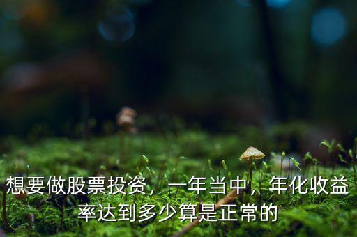 想要做股票投資，一年當(dāng)中，年化收益率達(dá)到多少算是正常的