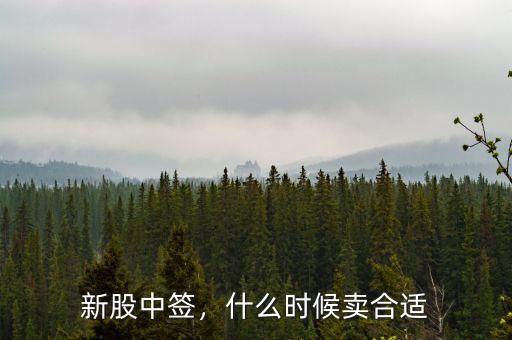 新股中簽，什么時候賣合適