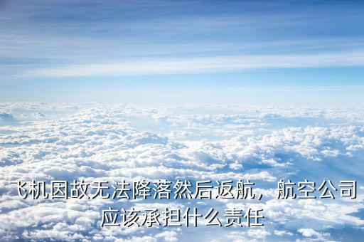 飛機因故無法降落然后返航，航空公司應(yīng)該承擔什么責任