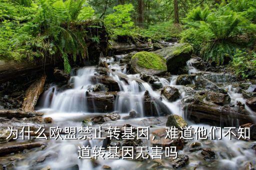 為什么歐盟禁止轉(zhuǎn)基因，難道他們不知道轉(zhuǎn)基因無害嗎