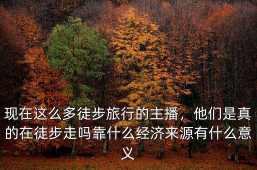 現(xiàn)在這么多徒步旅行的主播，他們是真的在徒步走嗎靠什么經(jīng)濟(jì)來源有什么意義
