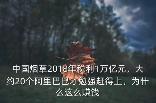 中國(guó)為什么稅這么重,為什么這么賺錢