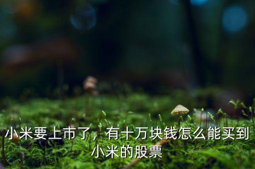 小米要上市了，有十萬塊錢怎么能買到小米的股票