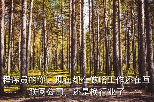 程序員的你，現(xiàn)在都在做啥工作還在互聯(lián)網(wǎng)公司，還是換行業(yè)了