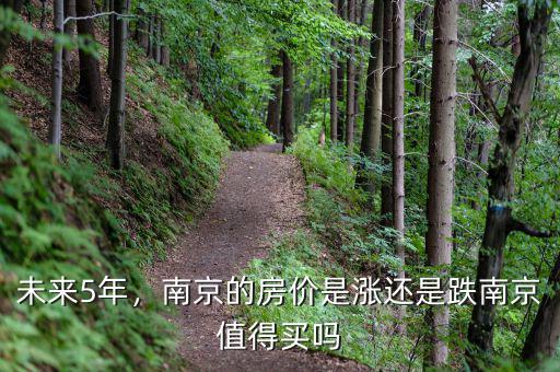 未來(lái)5年，南京的房?jī)r(jià)是漲還是跌南京值得買(mǎi)嗎
