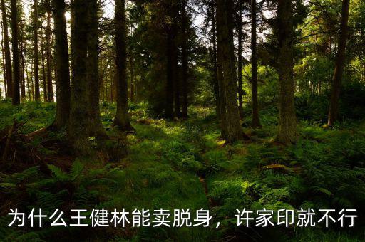 為什么王健林能賣脫身，許家印就不行