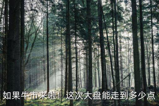 如果牛市來啦！這次大盤能走到多少點