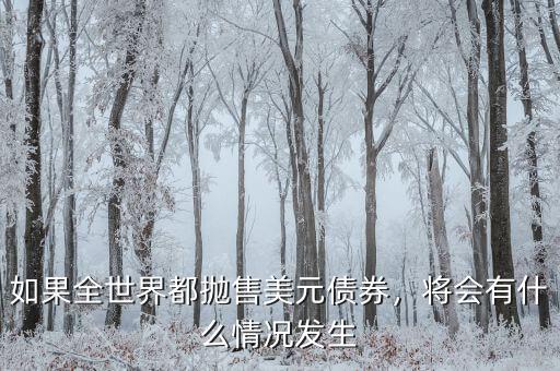 如果全世界都拋售美元債券，將會有什么情況發(fā)生