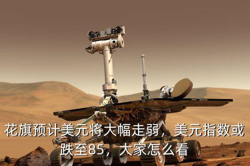 花旗預(yù)計美元將大幅走弱，美元指數(shù)或跌至85，大家怎么看
