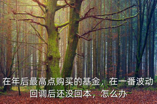 在年后最高點(diǎn)購(gòu)買的基金，在一番波動(dòng)回調(diào)后還沒(méi)回本，怎么辦