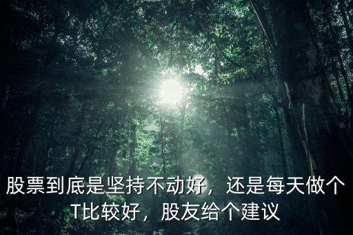 股票到底是堅持不動好，還是每天做個T比較好，股友給個建議
