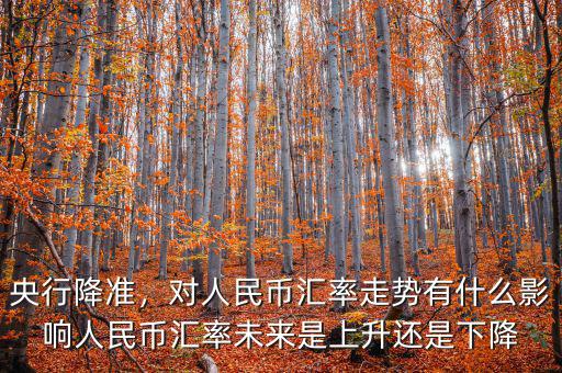央行降準(zhǔn)，對(duì)人民幣匯率走勢(shì)有什么影響人民幣匯率未來是上升還是下降
