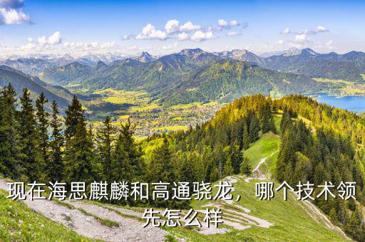 現(xiàn)在海思麒麟和高通驍龍，哪個(gè)技術(shù)領(lǐng)先怎么樣