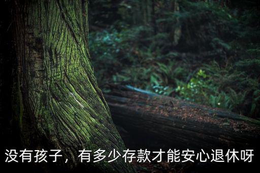 沒有孩子，有多少存款才能安心退休呀