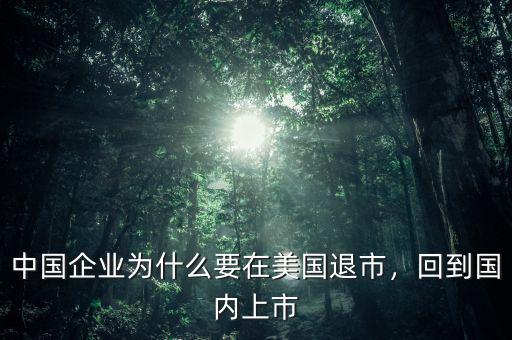 中國(guó)企業(yè)為什么要在美國(guó)退市，回到國(guó)內(nèi)上市