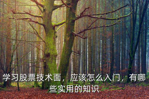 學習股票技術面，應該怎么入門，有哪些實用的知識